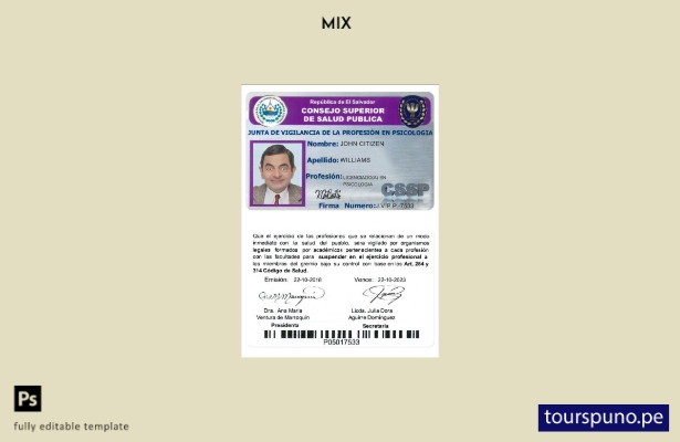 Plantilla lista para imprimir del consejo superior de salud pública de El Salvad